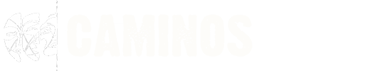 CAMINOS 2025